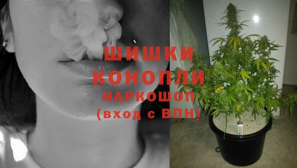 ешки Мегион