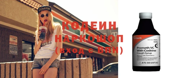 индика Медвежьегорск