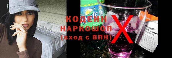 индика Медвежьегорск