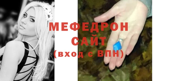 индика Медвежьегорск