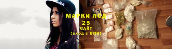 индика Медвежьегорск