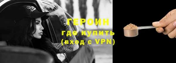 индика Медвежьегорск