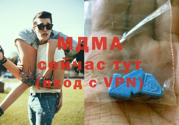 индика Медвежьегорск