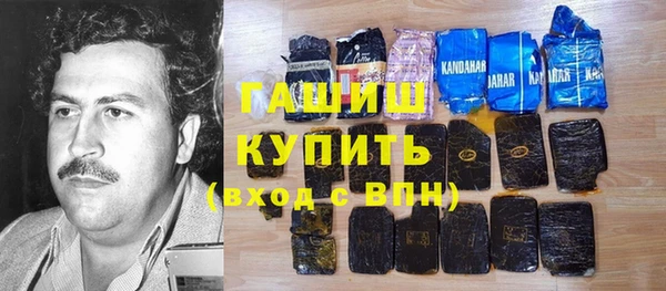 индика Медвежьегорск