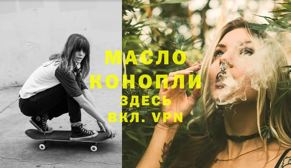 индика Медвежьегорск
