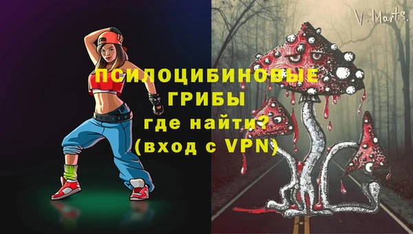 мдпв Магас