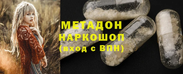 индика Медвежьегорск