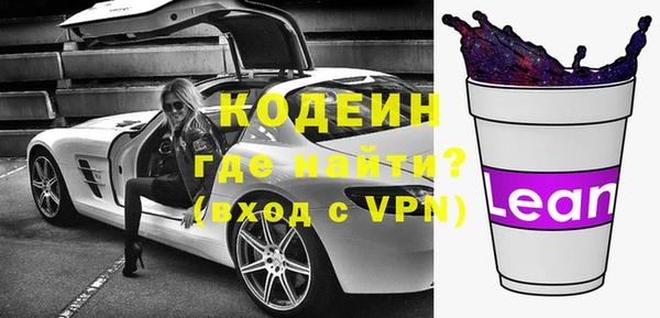 индика Медвежьегорск