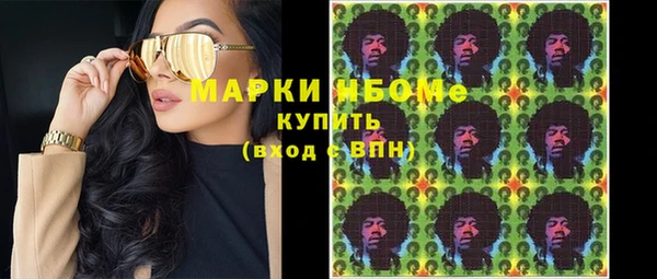 индика Медвежьегорск