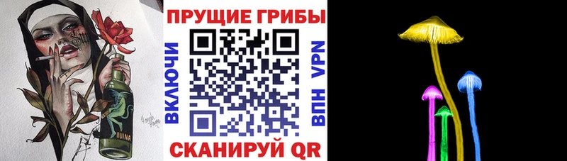 Купить  Карабаново  Галлюциногенные грибы мицелий 